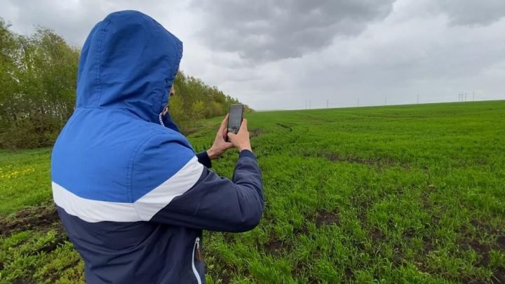 На полях Татарстана проверили алгоритм по верификации паспортов полей