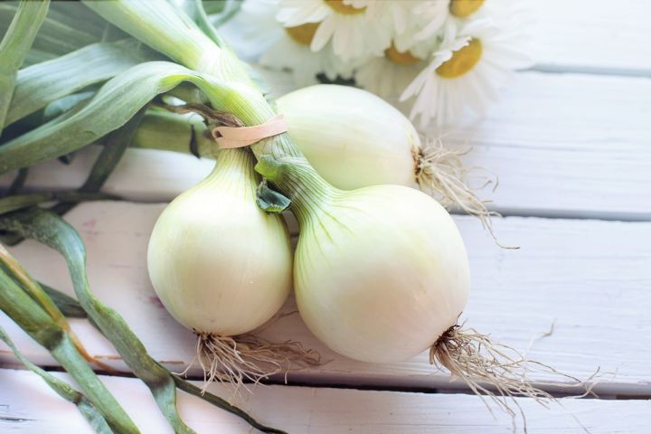 Чем подкормить лук в июне, чтобы всегда иметь крупные луковицы: проверенный метод