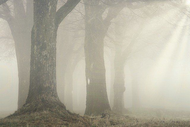 Бавлинцев предупреждают о тумане, грозах и сильном ветре