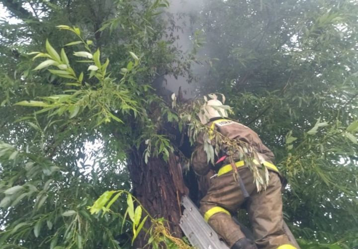 В Бавлинском районе грозовой разряд попав в дерево спровоцировал пожар