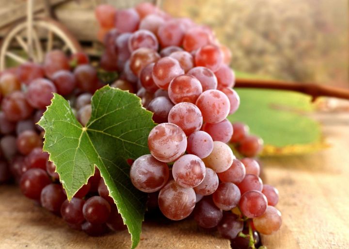 Почему виноград плодоносит мягкими и кислыми ягодами? Вот в чем кроется причина