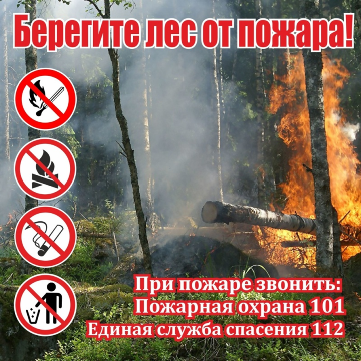 Из-за высокой пожароопасности лесов в Республике Татарстан объявлено штормовое предупреждение