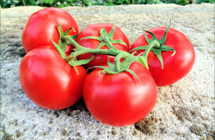 Отличная подкормка для помидоров в июле: урожая будет на треть больше