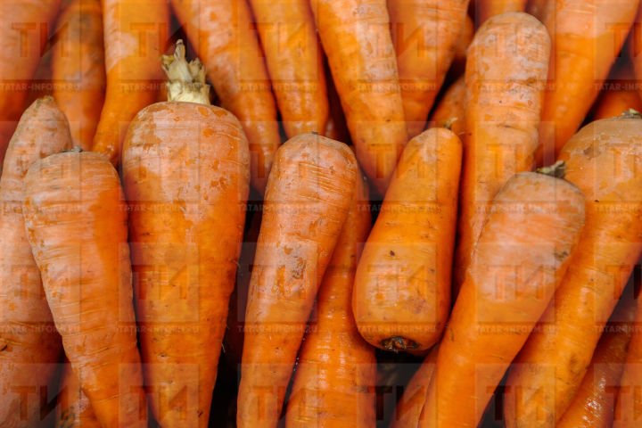 Что сделать, чтобы морковь дала хороший урожай