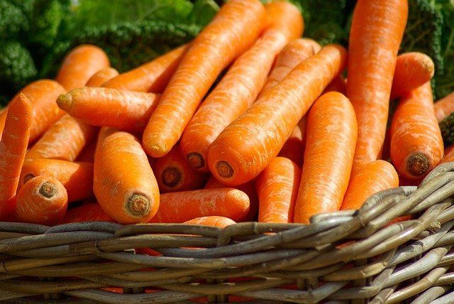 Что рекомендуют добавлять в воду для полива моркови, чтобы получить богатый урожай сладких корнеплодов