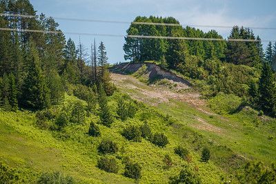 В Татарстане выделят еще 3 млн рублей на восстановление лесов в этом году