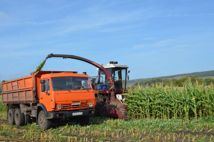 В Бавлинском районе продолжаются осенние полевые работы