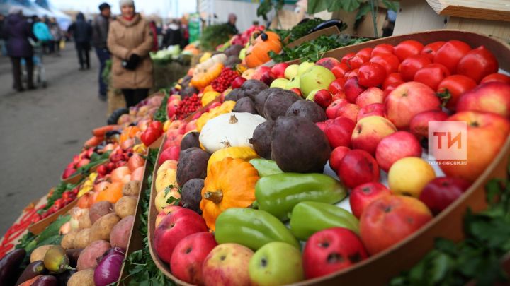На двух прошедших ярмарках жители Татарстана купили более 1,6 тыс. тонн овощей