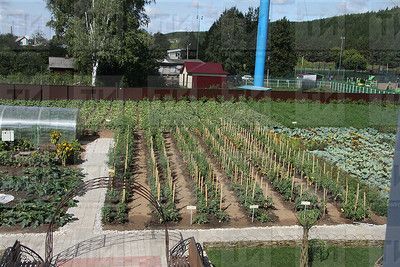 В Татарстане выделят 550 млн рублей на улучшение инфраструктуры садовых обществ
