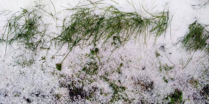 В одном из районов Татарстана выпал первый снег