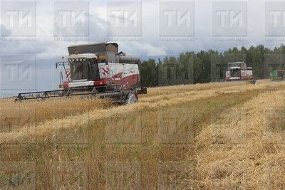 Уборка урожая в Татарстане завершена более чем на 94%