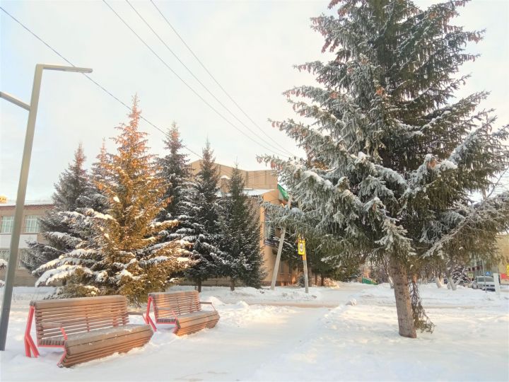 Метеорологический прогноз на завтра