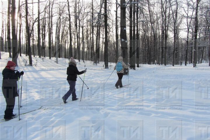 Россияне остались довольны новогодними каникулами