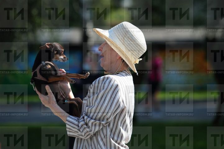 Опрос: где россияне желают жить на пенсии
