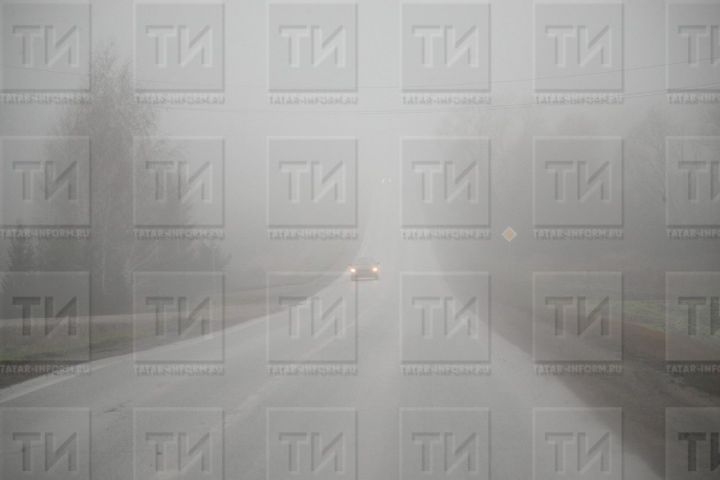 В Бавлах ожидается туман