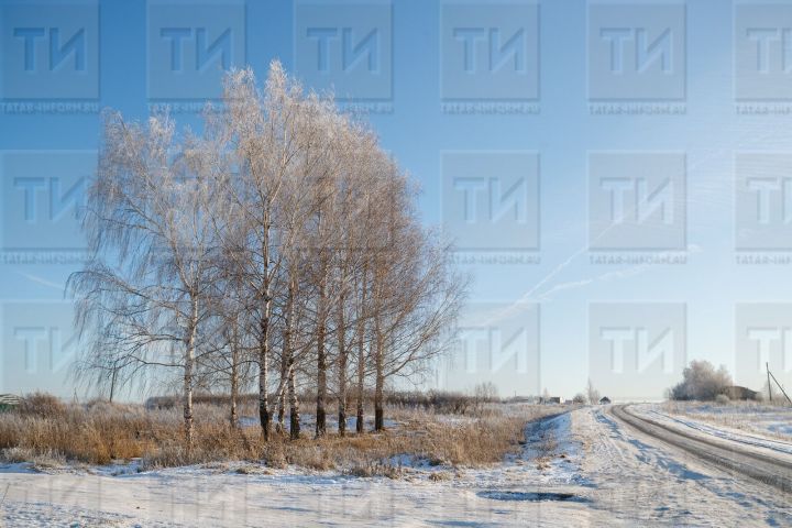 МЧС Татарстана информирует о сильном порывистом ветре