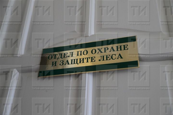 Для тушения пожаров татарстанские лесники получат почти 70 единиц техники и оборудования