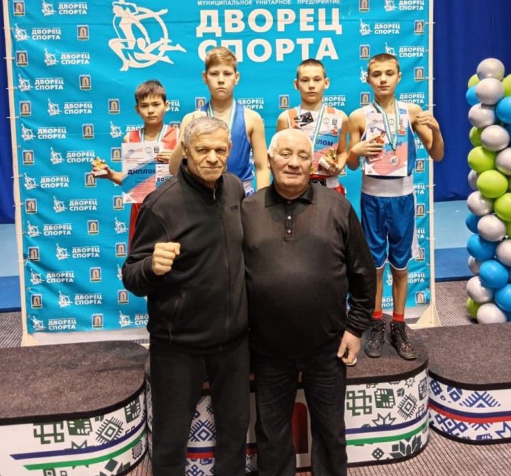 Бавлинские боксеры среди лучших
