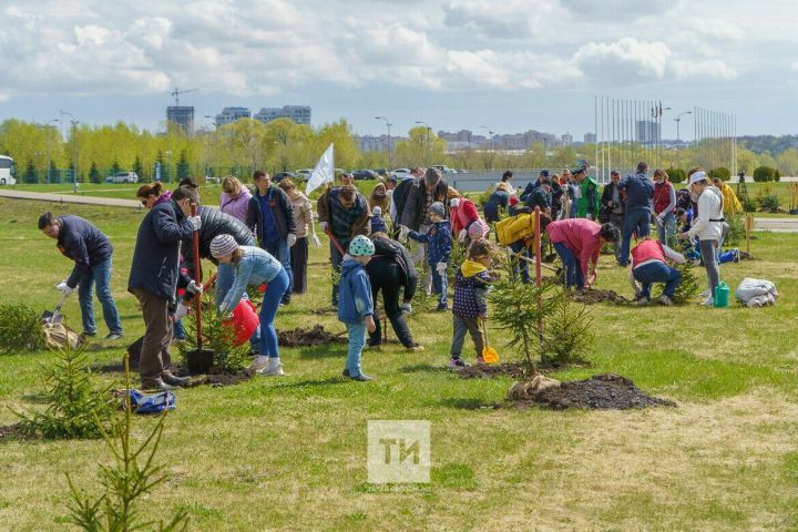 Во время акции «Сад памяти» в РТ планируют посадить 1 млн саженцев