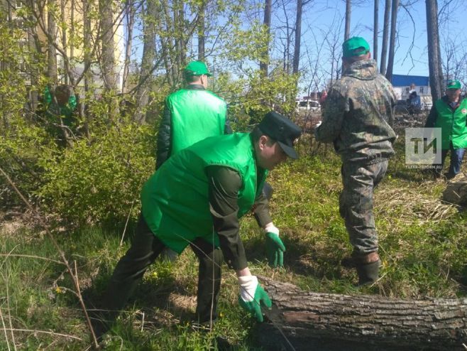 В апреле в РТ стартует акция «Чистые леса Татарстана»