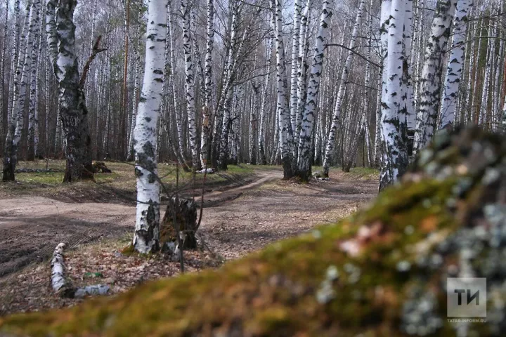 В ближайшие дни в ПФО прогнозируют температуру воздуха выше нормы