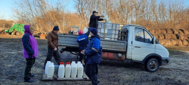 Бавлинские фермеры: «Цена на молоко упала, мы в растерянности»