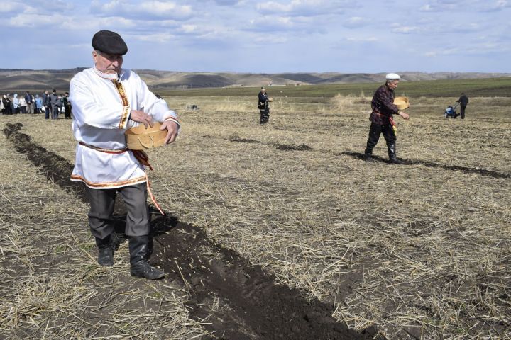 Баулы кырларында беренче буразна бәйрәме узды