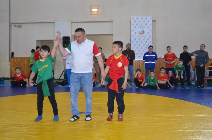 Бавлинские борцы привезли призы депутата