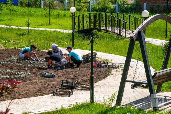 Бавлинцы могут выбрать объект в городе, который нужно благоустроить