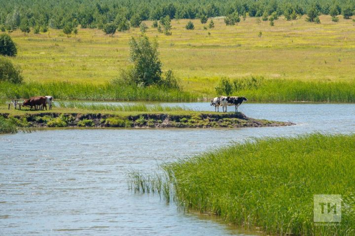 В субботу, 20 мая, в Бавлинском районе возможны порывы ветра