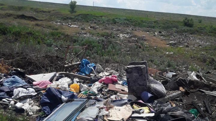 В Лениногорске экологами обнаружена несанкционированная свалка