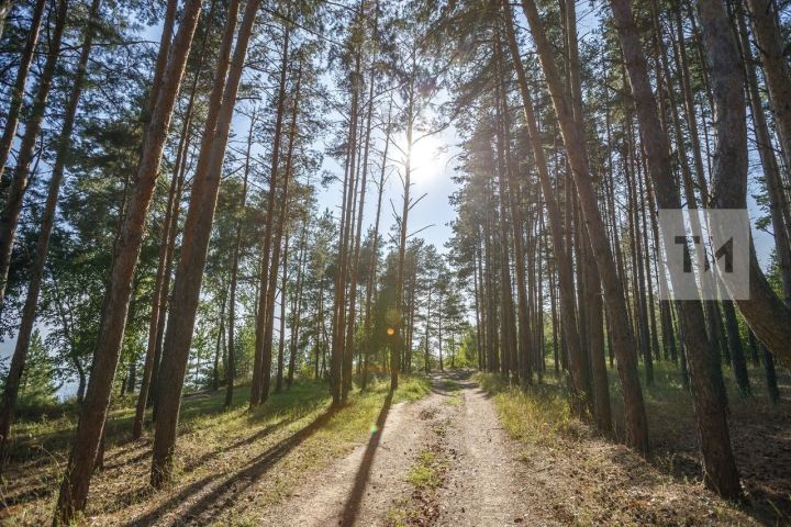 В Татарстане действует штормовое предупреждение