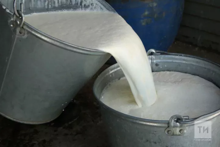 В Татарстане на 8,6% выросло производство молока