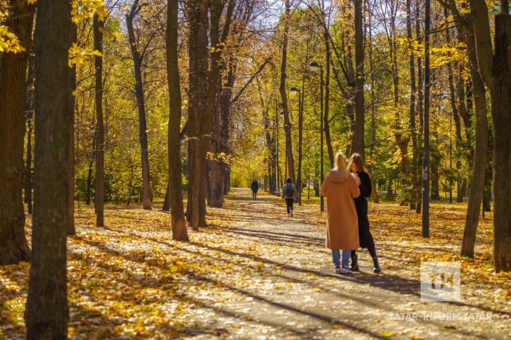 В субботу, 23 сентября, в Бавлах осадков не ожидается