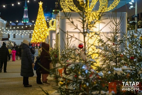 В Татарстане пройдут 11 новогодних ярмарок для самозанятых