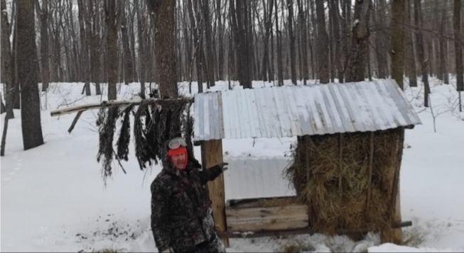 Бавлинские охотоведы помогают диким животным