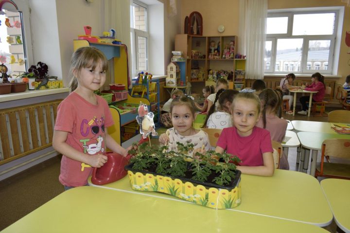 В бавлинском детском саду появился «Огород на подоконнике»