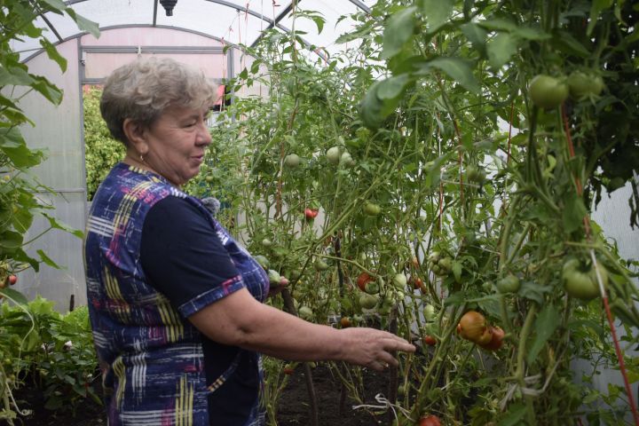 Бавлинка Гузалия Гиниятуллина: «Работа в огороде начинается с раннего утра»