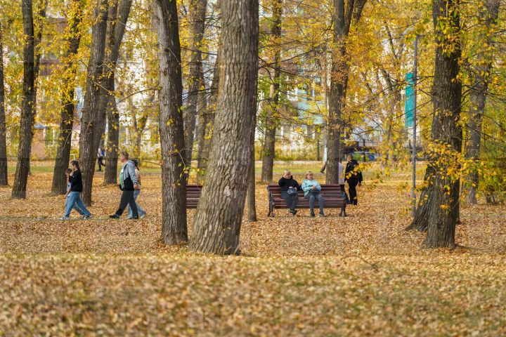 30 сентябрьгә сынамышлар