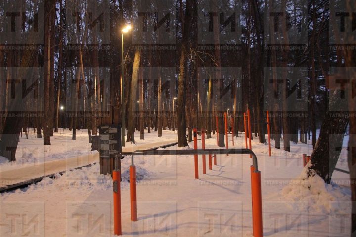 13 гыйнварга сынамышлар