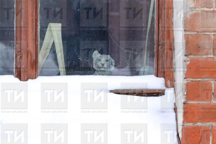 15 гыйнварга сынамышлар