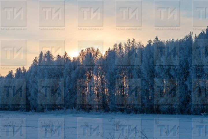 17 гыйнварга сынамышлар