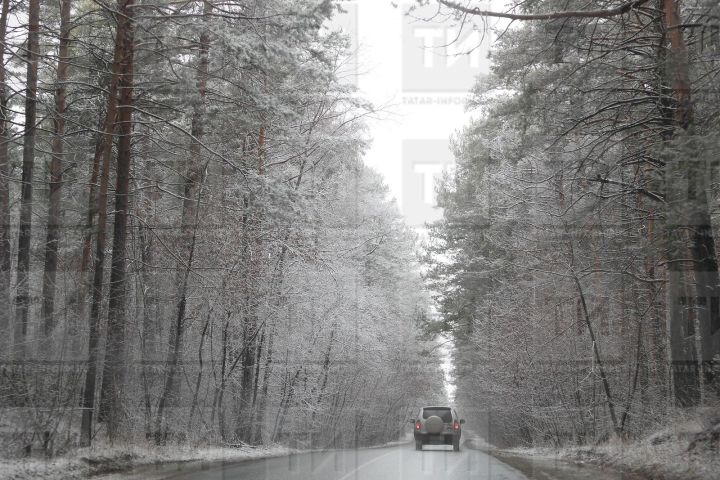 22 гыйнвар сынамышлары