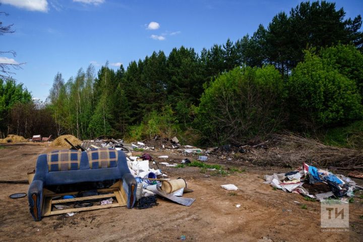 В 2025 году на смену национальному проекту «Экология» пришло «Экологическое благополучие»
