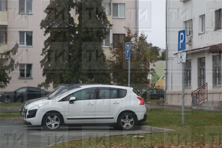 Отделение СФР по Республике Татарстан компенсировало стоимость ОСАГО 500 жителям с инвалидностью