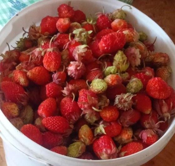 Баулы хуҗабикәләренә кайнатма рецепты