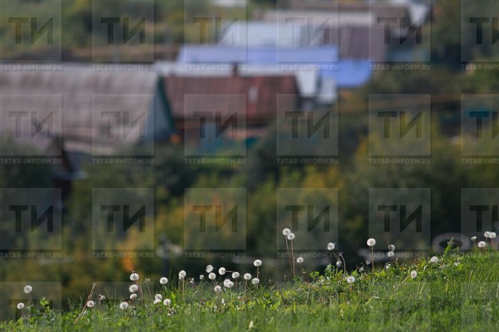 13 августка сынамышлар