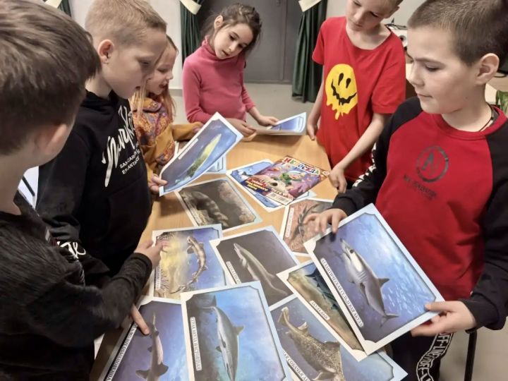 В Бавлинском районе прошла познавательная викторина «Мир океана»