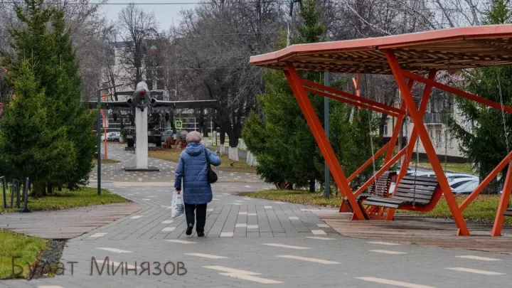 Жители Бавлинского района могут проголосовать за создание тематического парка