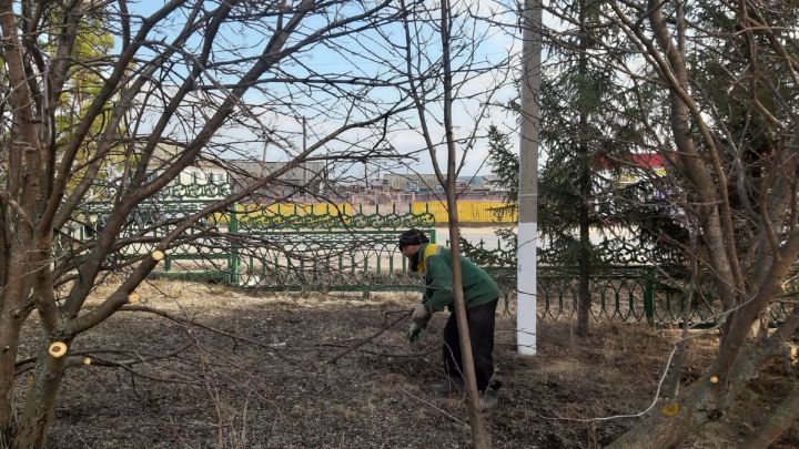 Бавлинцев предупреждают об ответственности за неправильную утилизацию растительных отходов